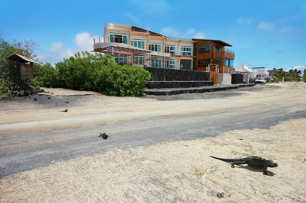 Iguana Crossing Boutique Hotel بْوُرتو فيلاميل المظهر الخارجي الصورة