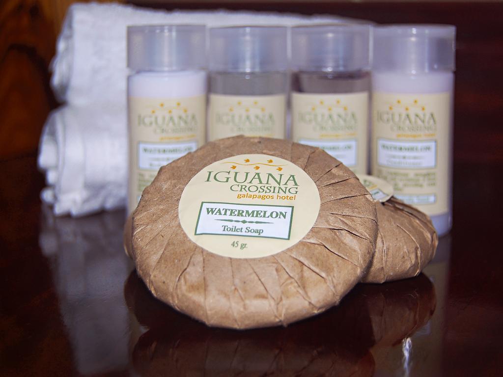 Iguana Crossing Boutique Hotel بْوُرتو فيلاميل الغرفة الصورة