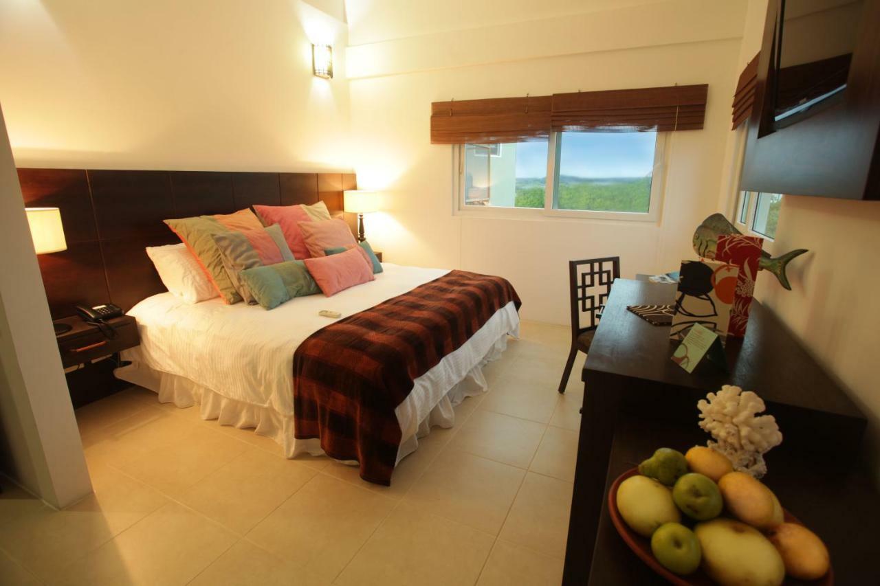 Iguana Crossing Boutique Hotel بْوُرتو فيلاميل المظهر الخارجي الصورة